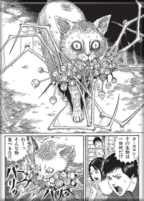 Kaytxar's tweet photo. Acabo de descubrir que hay un manga de Junji Ito y sus gatos...y ahora debo hacerme con él como sea 😅
Ojo...que aquí quien termina siendo el monstruo suele ser él, no los bichillos que solo hacen cosas de gatos 🤣🤣🥰
El diario del gato de Junji Ito: Yon y Mu https://t.co/3OCuUoTNv0