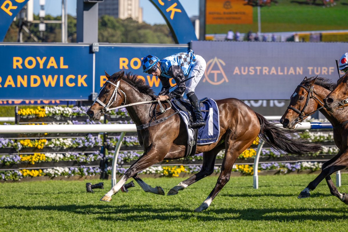cwallerracing's tweet photo. A fantastic day today for Team CWR. Congratulations to all connections &amp; thank you for the opportunity to train these incredible horses
🥇 Exo Velocity
🥇 Central Europe 
🥇 Lindermann
🥇Lazzura
🥇Declichy Boulevard
🥇Soverato 
🥇Gaultier https://t.co/NfUF0ngVrK