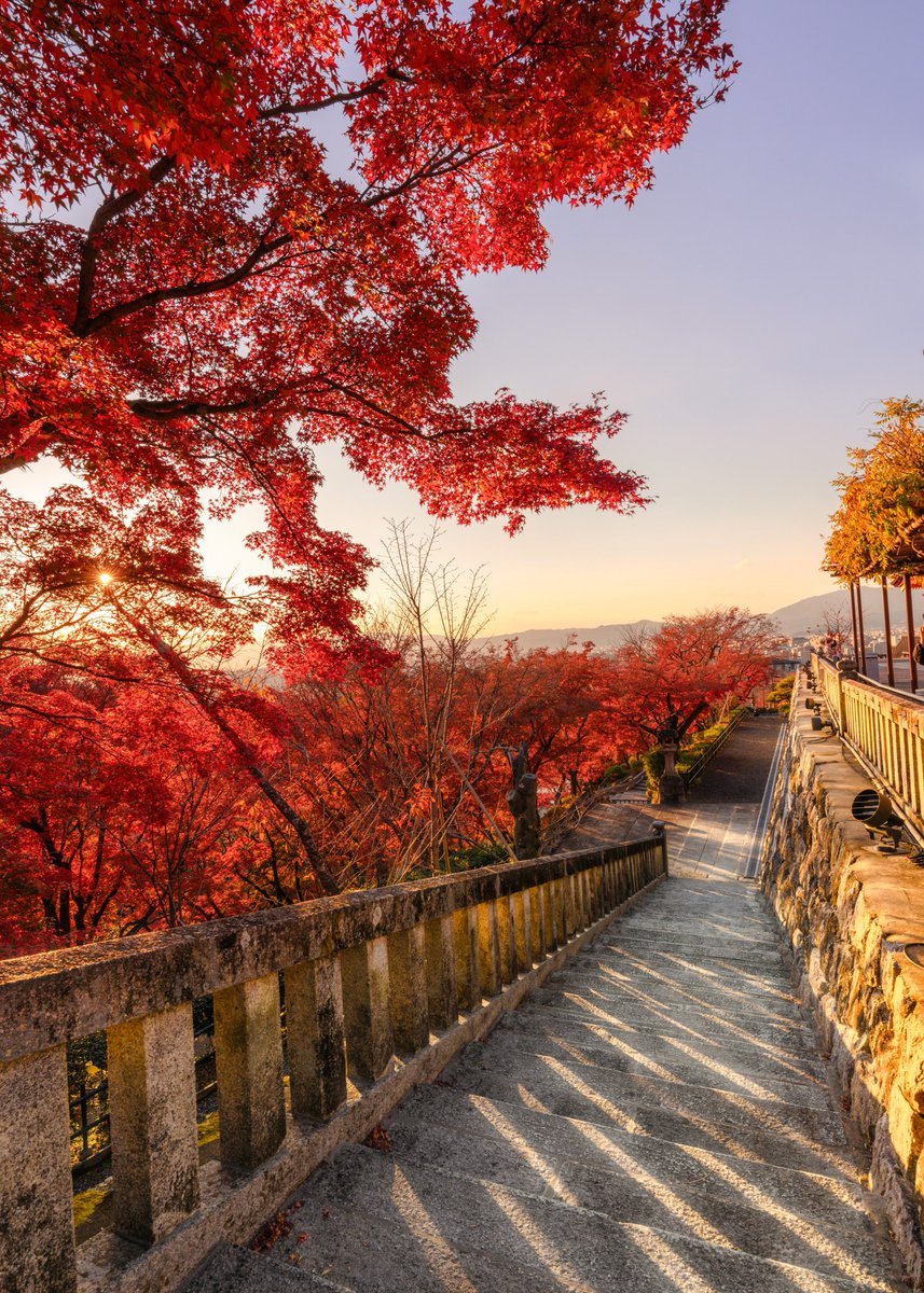 asagi_photo0921's tweet photo. 紅く染まる晩秋の清水寺。 https://t.co/bR7yXJkieK