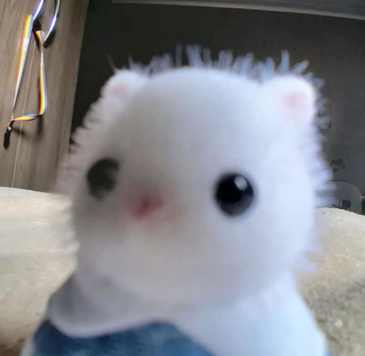 babylovesfawn's tweet photo. || oops i was a really sleepy girl last night so im sorry i didn’t get back to everyone but i will asap !! im just going to the chemist first (i haven’t been feeling great for like 3 days) <3 https://t.co/qnMtDzouQU