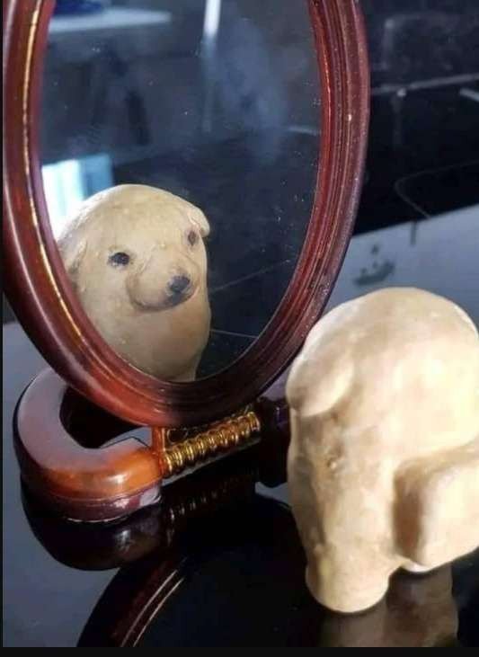 Ultibunny's tweet photo. @TheSpider06 tengo miedo genuino de lo que debe de ser todos al 20 y en modo lunático https://t.co/yybT50xqMV