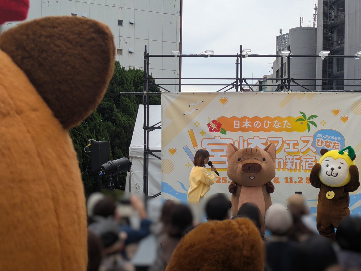 mc_joem's tweet photo. ㊗ #みやざき犬発見15周年 🎉
３匹そろい踏みで東京へのおさんぽの貴重な機会
ひぃくんが壇上にいるときにむぅちゃん、かぁくんは客席を練り歩き🐶🐶🐶
気づけば真横に座ってたり、並んで観覧したりの深く思い出に残る神イベでした

2025/11/1（ワンワンワン）
日本のひなた宮崎フェス in 新宿 https://t.co/oGmdDWN891
