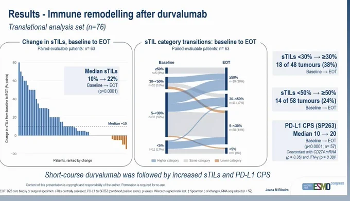 Image from Aya Mohamed | MSc, MD 🎗 (@Dr_Oncologista)