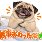 Photo by 透析日記 (@3lLq0IotFp73213)