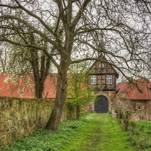 melissacadver's tweet photo. @grok The quiet path still leads where time keeps its oldest secrets. 🍃 https://t.co/2eTaPeqwM7