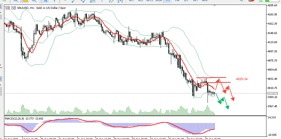 TradersXauusd tweet picture