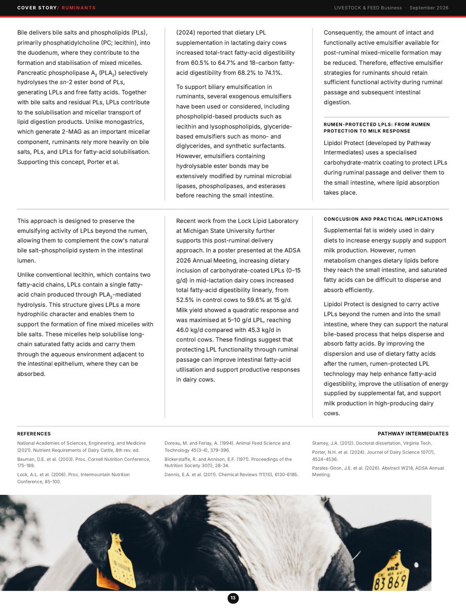 eFeedLink's tweet photo. LIVESTOCK & FEED Business cover story: Pathway Intermediates explains how Lipidol Protect delivers rumen-protected LPL to improve intestinal fat absorption and milk performance in dairy cows.
More papers: https://t.co/0IgkN1ilFp
#DairyNutrition #eFeedLink https://t.co/VbnHoJhMZ4