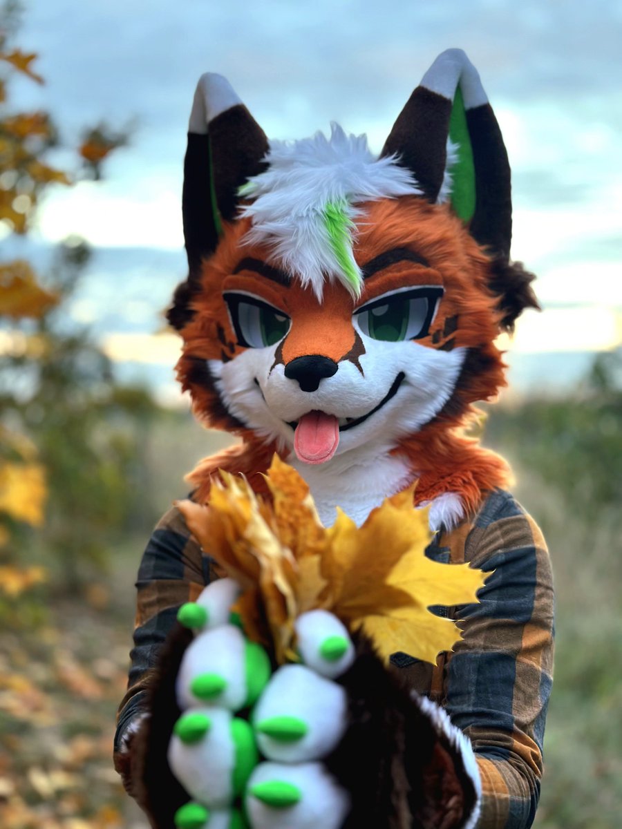 Kex_Fuchs's tweet photo. Want a leaf ? 🦊🍁 https://t.co/Qpwe5CgEM1
