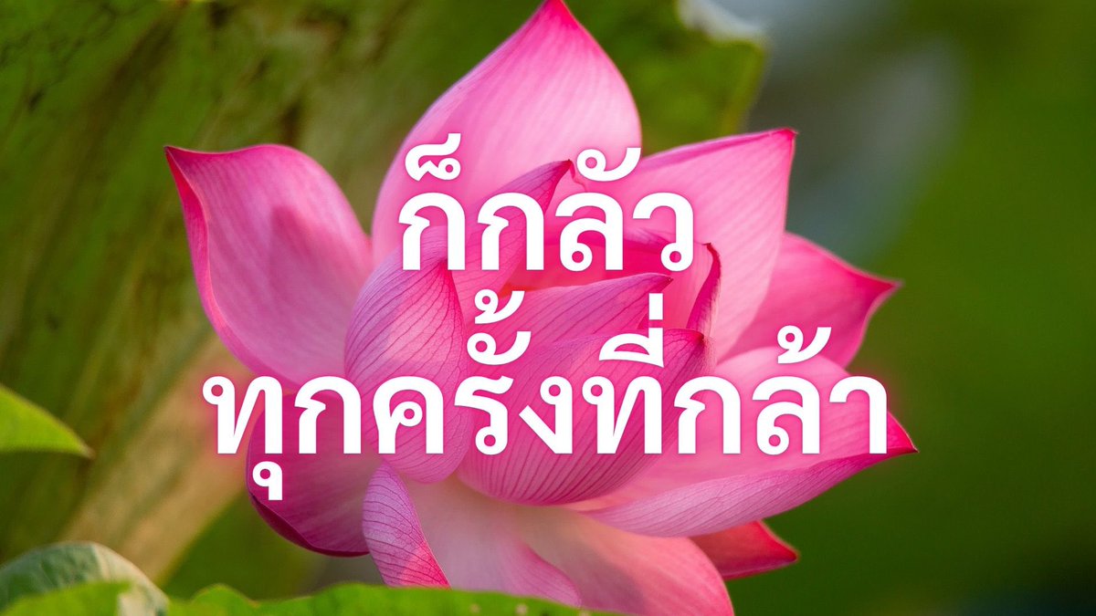 Iaunza's tweet photo. นั้นแหละ https://t.co/cF6cFnDBE4