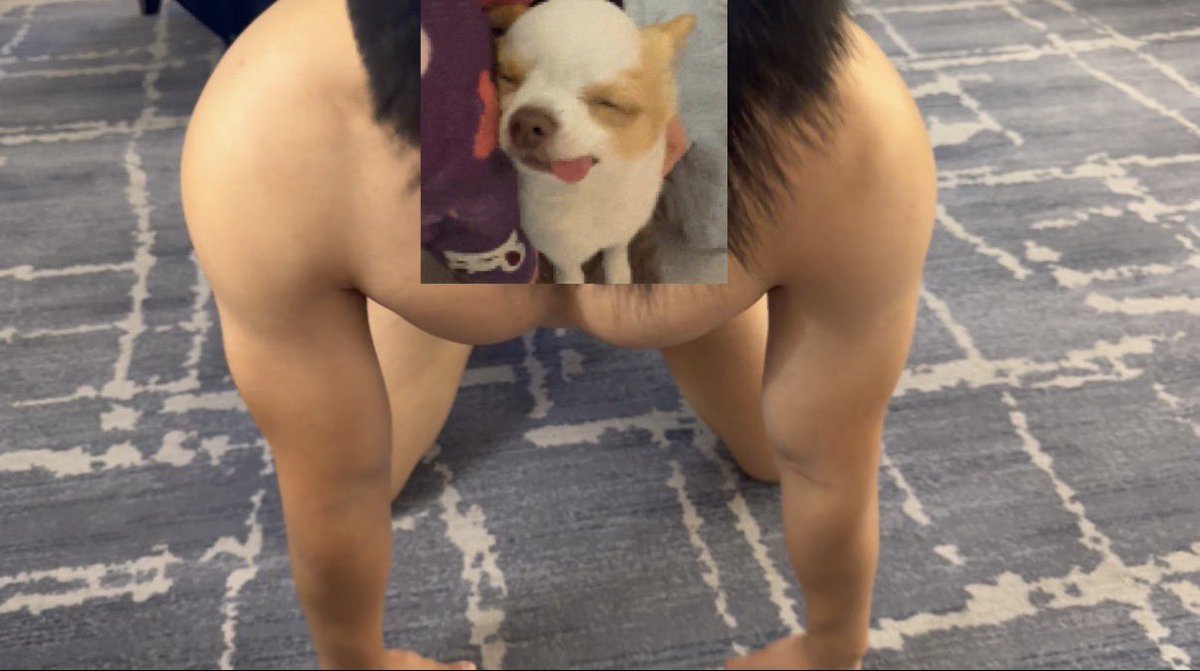 Evanxx_m's tweet photo. puppy https://t.co/gpVHbttzL2