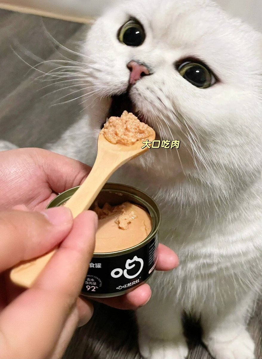 m52005466's tweet photo. [列阜湍、瘸拍？この言葉はちょっと珍しいね。何かの面白い偶然？] https://t.co/qLEI3SHbRB
