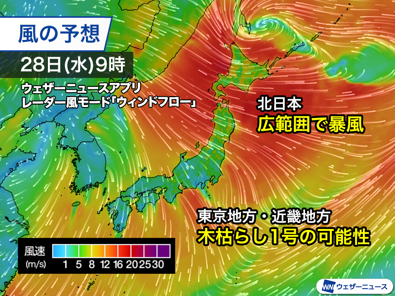wni_jp's tweet photo. ＜初冬の寒気が流れ込む＞
来週28日(水)は真冬のような気圧配置になり、強い寒気が流れ込みます。北日本の峠道などは積雪に注意が必要です。
全国的に寒さが増し、風が強まります。東京地方、近畿地方は木枯らし1号となるかもしれません。
https://t.co/uhOmrxqyyh https://t.co/lymkBWlYJt
