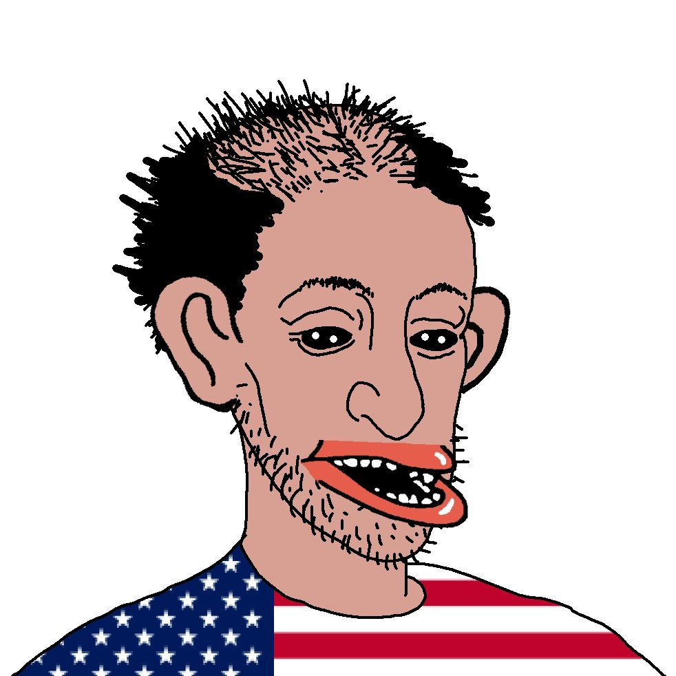 Toleelad's tweet photo. @RamrodPhoenix Let me explain the propaganda piece for your amerimutt brain, the poster shows America being a Judaised/negrofied nation (which is still) and the corrupt capital being based upon https://t.co/Os80Ku43ml