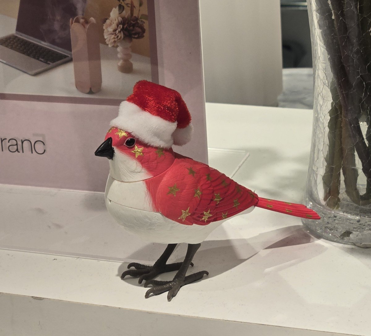 kinoga39's tweet photo. 🐦️ https://t.co/gHxrF99p3D