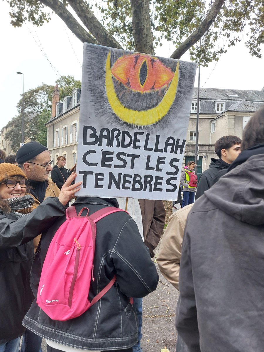 Alexsulzer's tweet photo. Florilège de pancartes à la manifestation d'Orléans. https://t.co/KkZjKZ2aSF