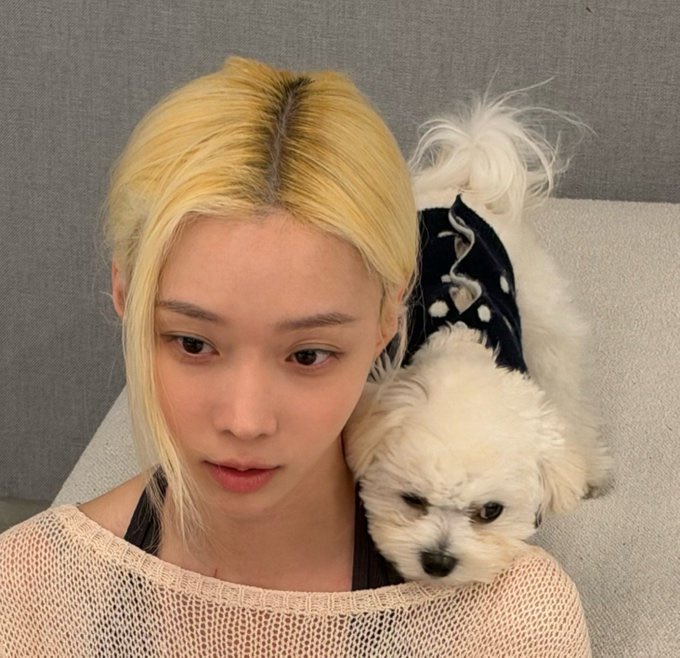 bunnybaejoo tweet picture