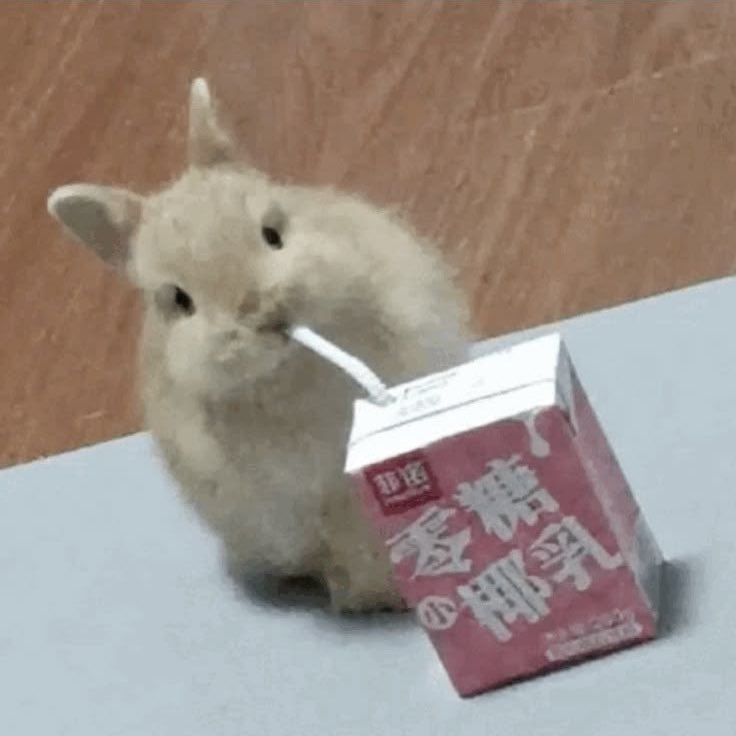 bnuy4ever's tweet photo. Strawberry milk is yummy 😋 https://t.co/fOQttQ6Na5