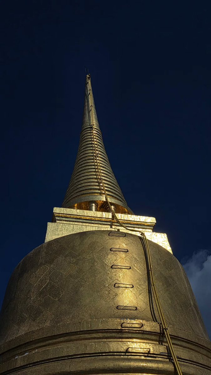 forskynani_ tweet picture