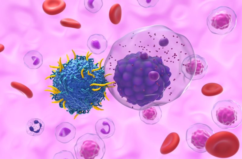 jyves94's tweet photo. 🩸 #MyélomeMultiple : une nouvelle thérapie par cellules #CAR_T 🧬 ciblant le #BCMA. atteint des taux de #Rémission élevés
▪️ 38 patients traités
▪️ Taux de réponse global : 100 %
▪️ Rémission complète : 79 %
▪️ Survie sans progression à 24 mois : 57 %
https://t.co/1xETTEABfM https://t.co/BlBHNMKiUA