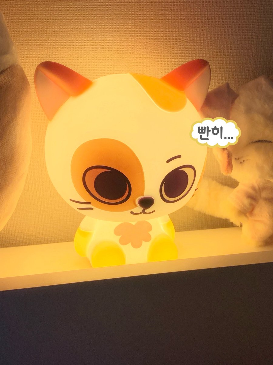 urmiamulet's tweet photo. 떵오♡캣삐♡나 이 셋의 만남 너무 기쁘다 https://t.co/UDfxUXJ1yj