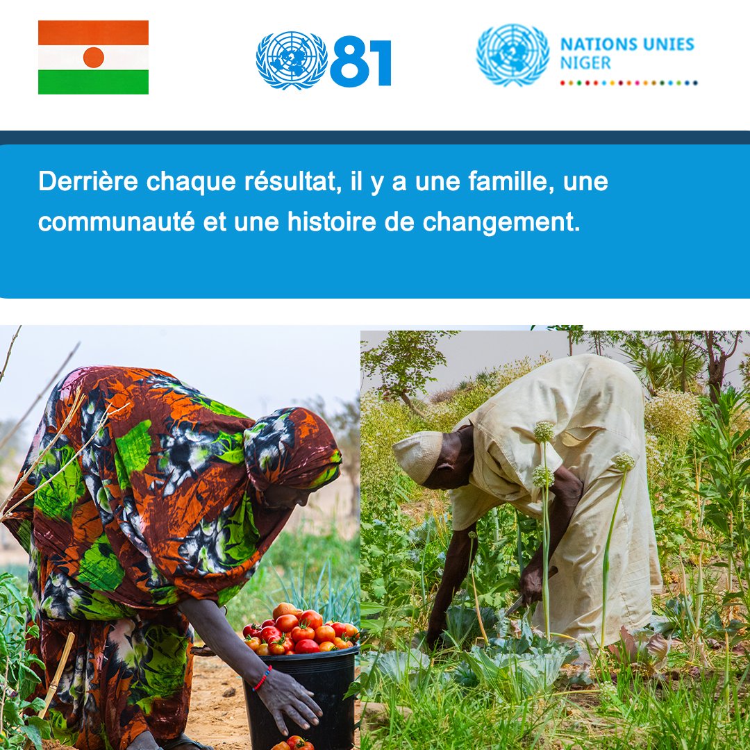 SNU_Niger's tweet photo. 🌱 Au Niger 🇳🇪, les producteurs et productrices contribuent chaque jour à la sécurité alimentaire et à la résilience des communautés.

Appuyons leurs efforts pour une agriculture durable et de meilleurs moyens de subsistance.

#UN81 #Niger 🇳🇪

Rejoignez nous dans cette campagne en likant ou en retweetant