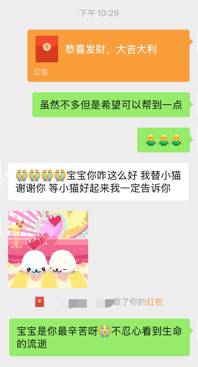 blthru319's tweet photo. 我列表的小女孩太善良了TT希望小猫可以好起来 https://t.co/ctpRl3nxUJ