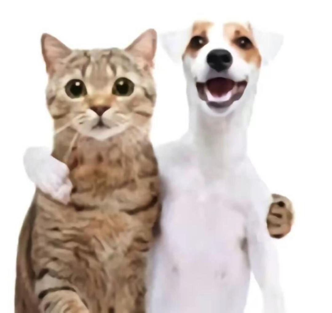 silverstainsa's tweet photo. When you have a buddy https://t.co/zjPZUJBAGg