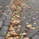 Photo by Geertje (@BGeertje)
