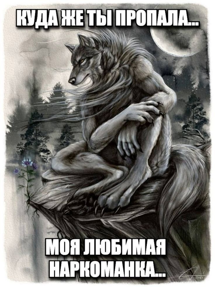 opiumvelvet's tweet photo. Именно в этой комнате мой волк впервые читал фанфики по омегаверсу... без меня...  #BringBackValko #PapergamesRuinsCNGaming #CancelPapergames #BoykottPapergames #NoValkoNoMoney #NoValkoNoInfold #ValkoIs6thLI https://t.co/GZqL3zDnSS