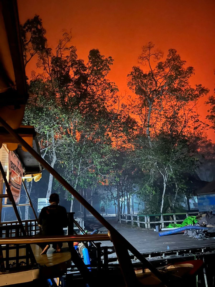 SalingJagaWarga's tweet photo. CRITICAL BREAKING!
Pertahanan Camp Tanjung Harapan jebol, disini adalah camp pemberian makan orangutan 😭 https://t.co/yJynn4HD1r