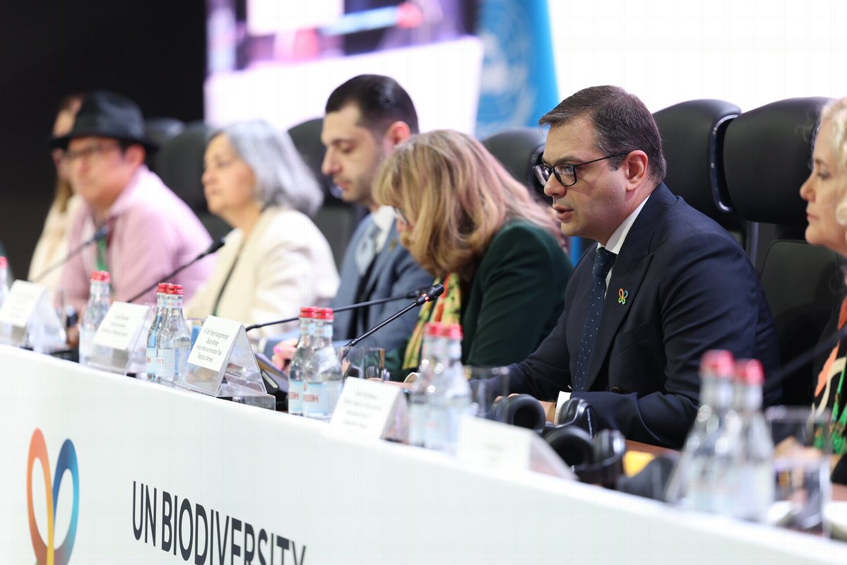 RAbisoghomonyan's tweet photo. At 6th Nature &amp; Culture Summit held in framework of #COP17 🌐🌱, highlighted important opportunity to renew our shared commitment to safeguarding biological &amp; cultural diversity for future generations &amp; strengthening international cooperation towards this common objective. https://t.co/EvIBhK7P2m