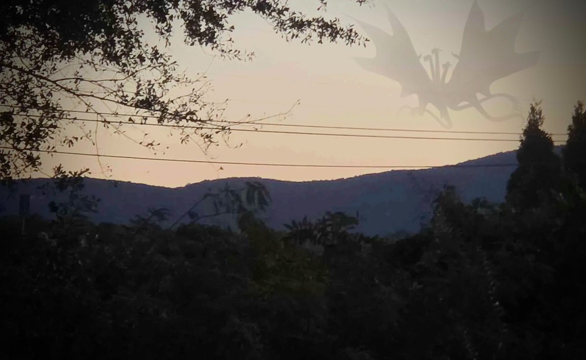 MisticSpino's tweet photo. #Godzillaverse #Godzillaart #godzilla https://t.co/wel4AgpTaH
