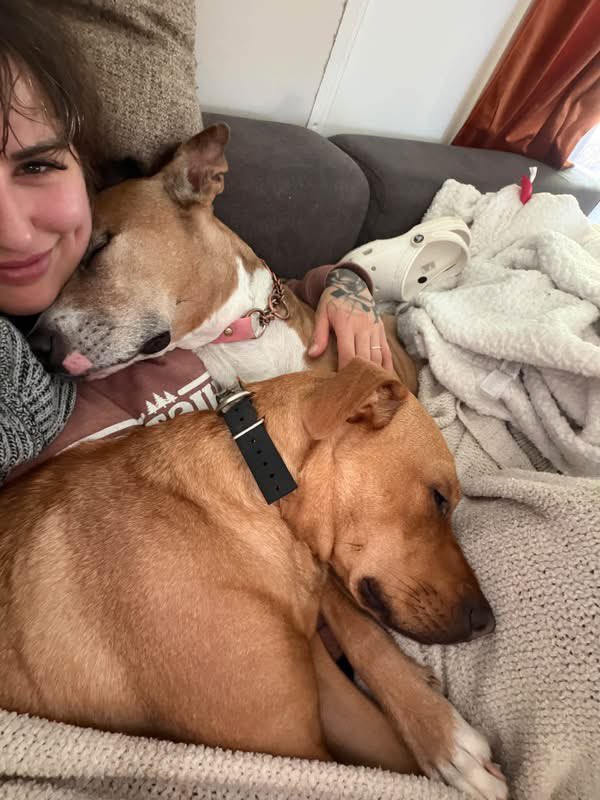 Millriky's tweet photo. So much love from
My puppies, I wonder how life would be without them in it ❤️❤️ https://t.co/TtaKw6IHyH