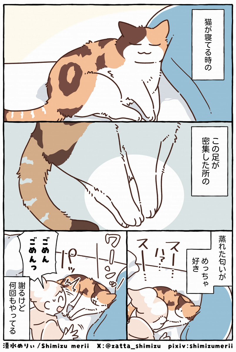 zatta_shimizu's tweet photo. 猫エッセイ⑦

猫の匂いは部位によって違うんですよね https://t.co/DPhVpDfNva