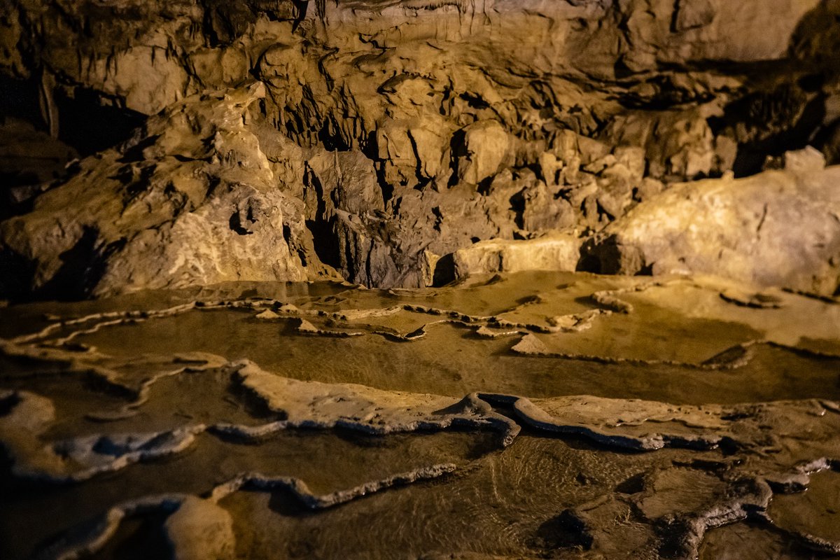 rafaela_azeved's tweet photo. Nel cuore della giungla del nord Vietnam, la Grotta di Nguom Ngao si estende per oltre 2 km tra stalattiti e stalagmiti scolpite in milioni di anni. Un’antica leggenda racconta che fosse il rifugio delle tigri. https://t.co/aeAQXhlkfm