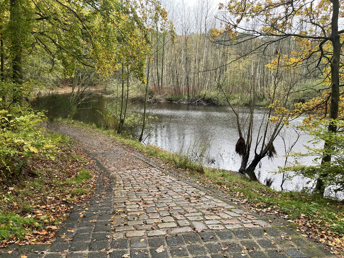 tacticow's tweet photo. Went to visit the forest behind my school from back in the day 💕

Not many people around and the bridge there sadly collapsed but it was incredibly nice to go back 🥺💕

Ill show more pics tomorrow on stream https://t.co/wHI7LeOktK