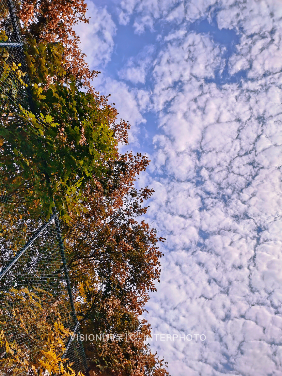 110m910's tweet photo. 「延びる碧い孤雲、蒙の空に浮かぶ日本の秋の一日」 https://t.co/6fktzjsHOH