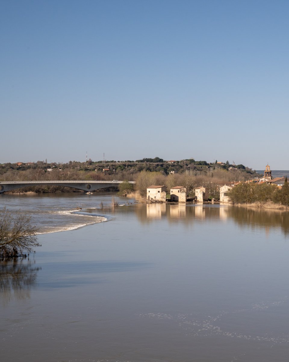ZamoraSpain tweet picture