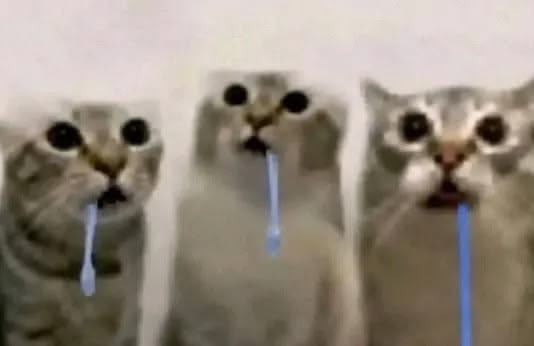 the18thofmay's tweet photo. otto: https://t.co/mrTH6dBdfW