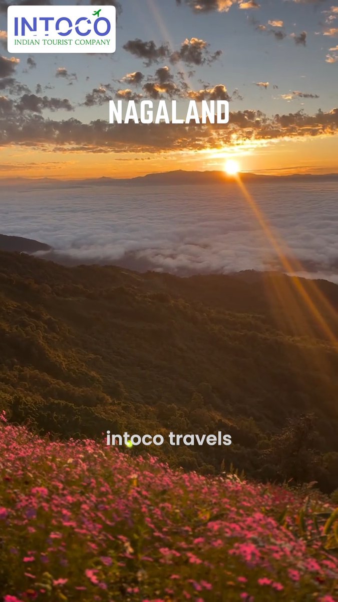 LauraDb2's tweet photo. Nagaland, where nature meets tradition. Explore misty mountains, green valleys, vibrant tribal cultures, traditional villages, colorful festivals, and unforgettable local experiences. Day 9/30: Discover a unique side of India. https://t.co/JnvymdHHz1