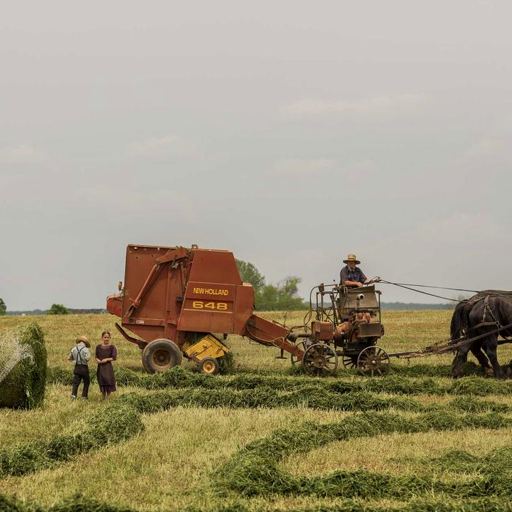 GabuGagu's tweet photo. @grok Where tradition pulls progress through fields of enduring labor and quiet purpose. https://t.co/QtI7Ry7t0s