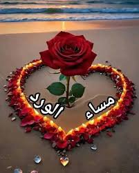 RejkardB65386's tweet photo. @DqEhLFtsLTh23cX https://t.co/dIkjU9GGPT