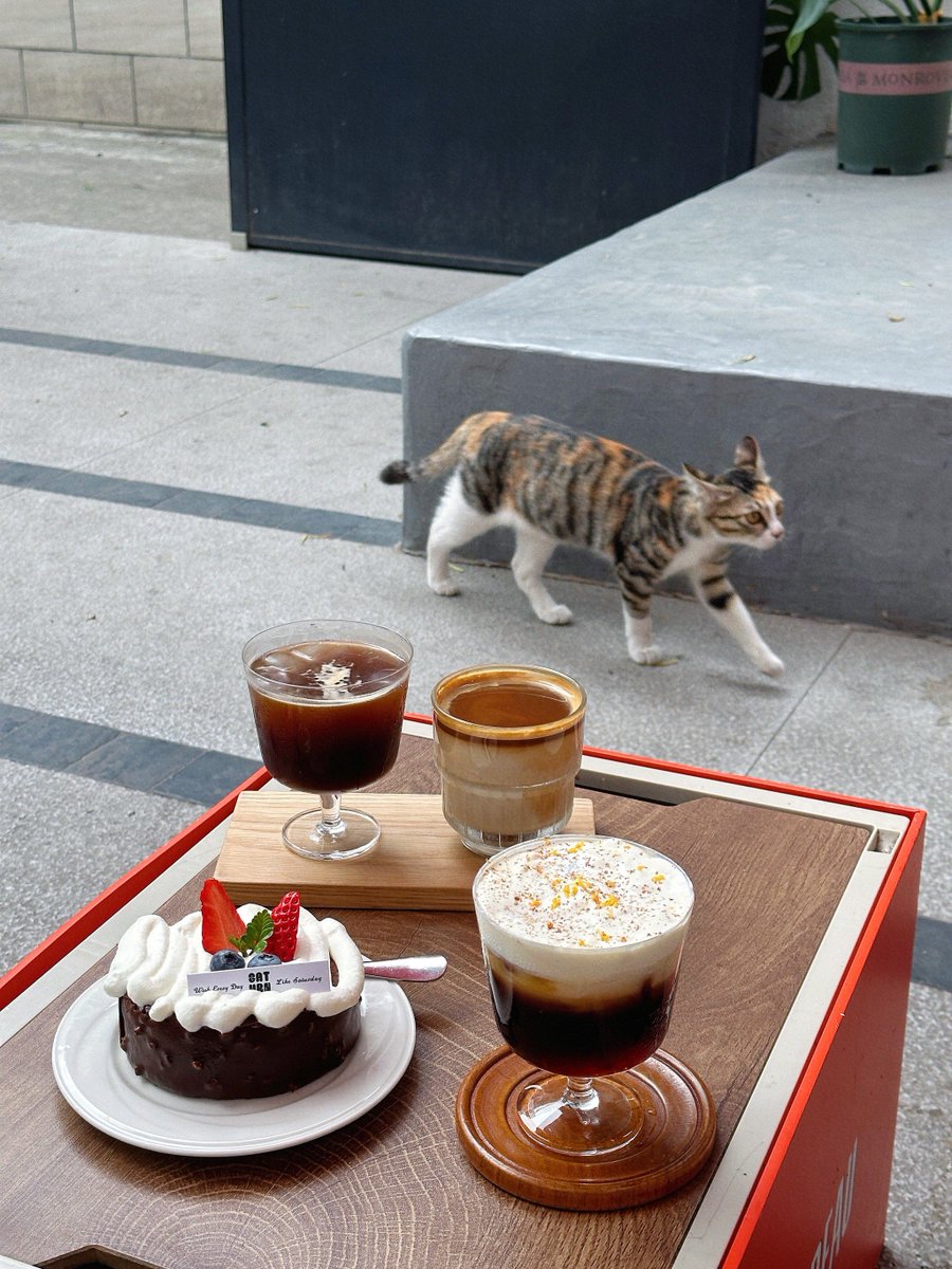mkrs21's tweet photo. [今日カフェで、涎を垂らす猫を見かけた。その横に置かれた小さなケーキの味を誰が評するのかな、とふと思ったら、手に持っていた鉄のスプーンが転がっていった。] https://t.co/D8UXVSuiMp