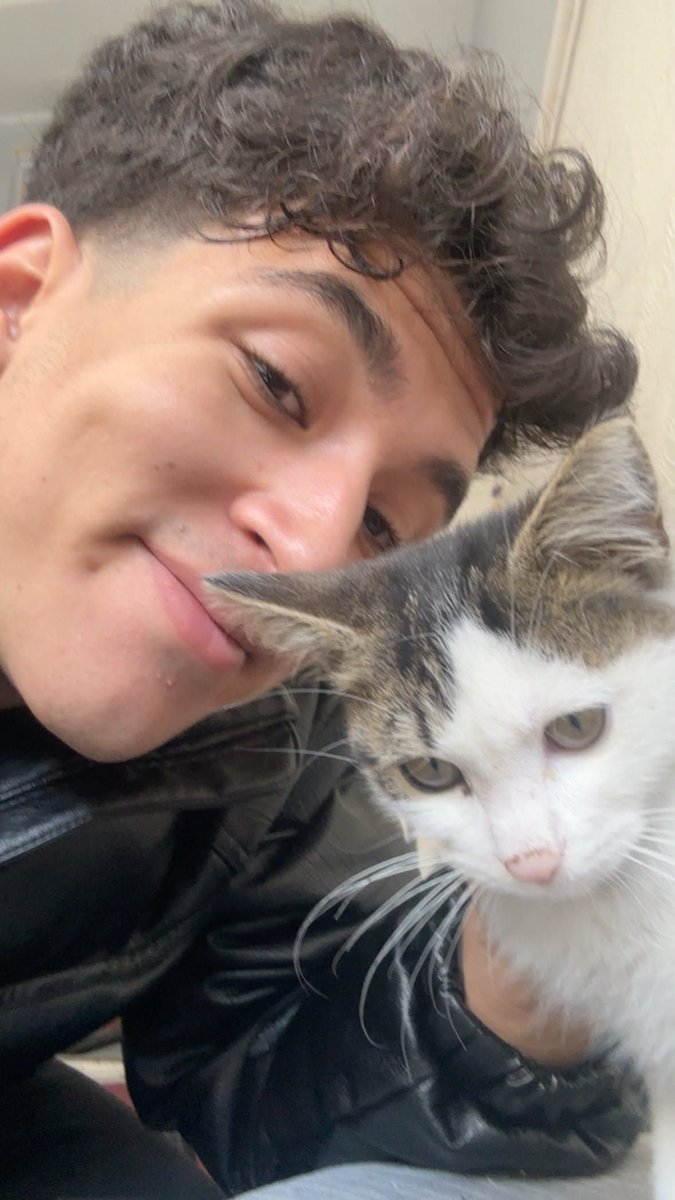 omurozkpcarchv's tweet photo. Ömür'ün kanal güncellemesi ✍️🏻🩵

Hangisi kedi çözemedik??? https://t.co/wWkpFe2jQI