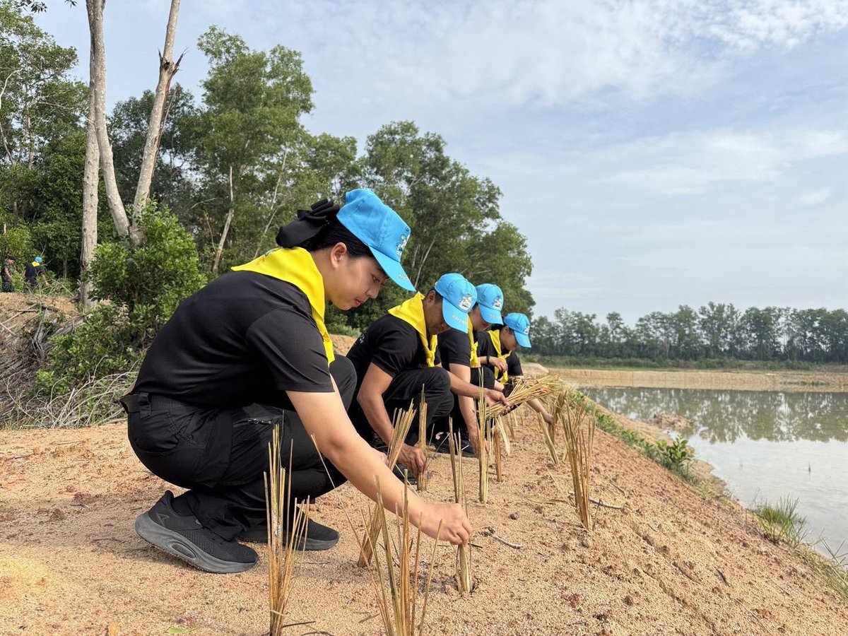 RTARF_PR's tweet photo. เมื่อวันศุกร์ที่ 23 ตุลาคม พ.ศ. 2569 กองทัพไทย โดย หน่วยพัฒนาการเคลื่อนที่ 46 สำนักงานพัฒนาภาค 4 หน่วยบัญชาการทหารพัฒนา จัดจิตอาสาของหน่วย ปลูกหญ้าแฝก บริเวณสระเก็บน้ำสาธารณะชุมชนบ้านใหม่พัฒนา เพื่ออนุรักษ์ดินและน้ำ ป้องกันการชะล้างพังทลายของหน้าดิน เนื่องในวันปิยมหาราช ณ สระเก็บน้ำสาธารณะชุมชนบ้านใหม่พัฒนา ตำบลวัดประดู่ อำเภอเมืองสุราษฎร์ธานี จังหวัดสุราษฎร์ธานี

#oneteamทัพไทย
#จิตอาสา
#จิตอาสาพระราชทาน
#นทพ
#กองทัพไทย