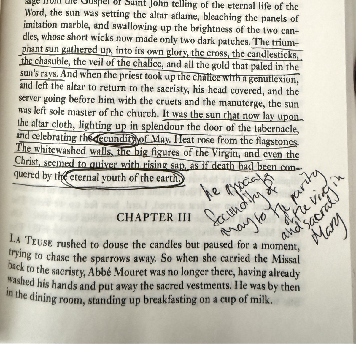 astrovenus55's tweet photo. the Sin of Abbe Mouret - Emile Zola

My favourite quotes displaying Serge’s repulsion and confusion towards nature, proliferation, and desire 
(sorry for my horrific outlining) https://t.co/rFcbjGRycO