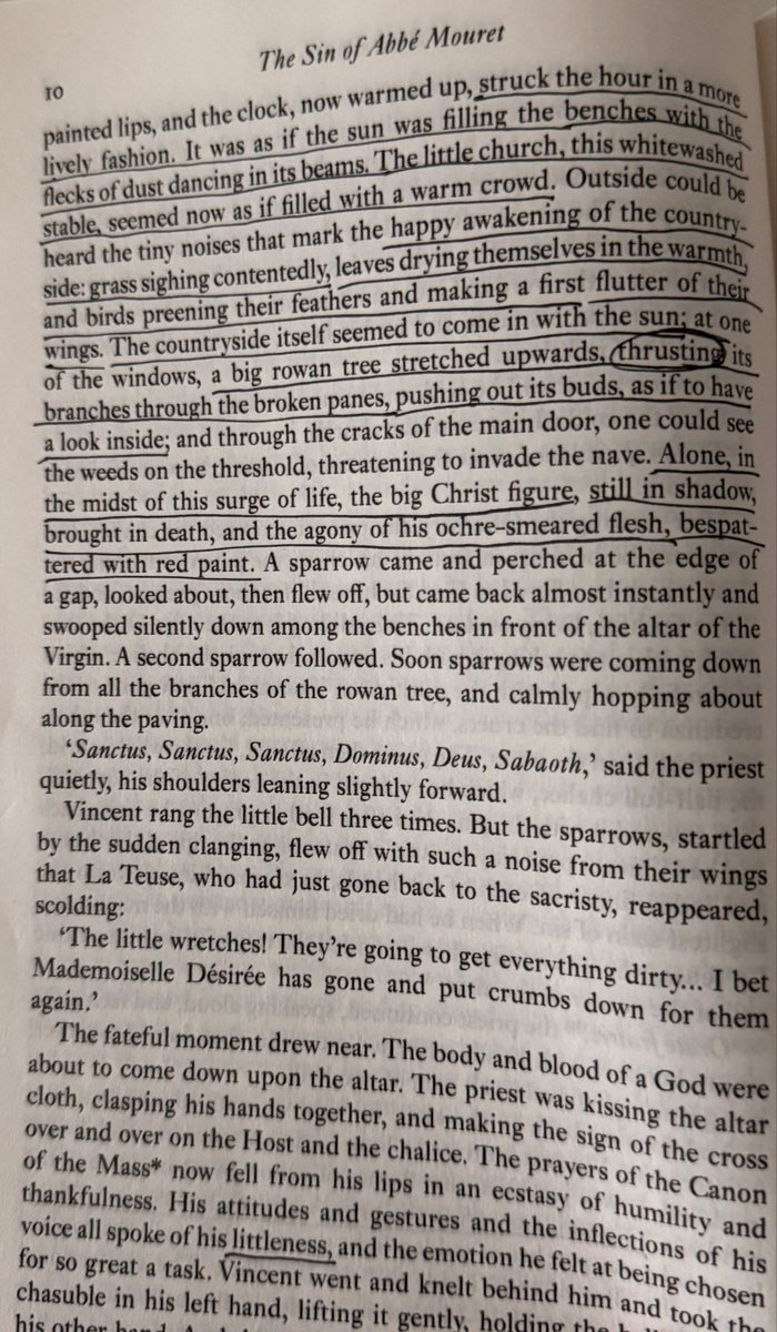 astrovenus55's tweet photo. the Sin of Abbe Mouret - Emile Zola

My favourite quotes displaying Serge’s repulsion and confusion towards nature, proliferation, and desire 
(sorry for my horrific outlining) https://t.co/rFcbjGRycO