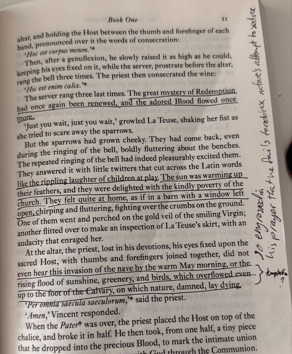 astrovenus55's tweet photo. the Sin of Abbe Mouret - Emile Zola

My favourite quotes displaying Serge’s repulsion and confusion towards nature, proliferation, and desire 
(sorry for my horrific outlining) https://t.co/rFcbjGRycO