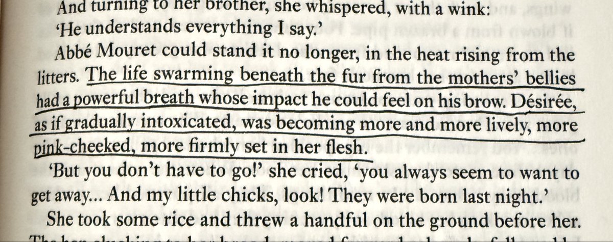 astrovenus55's tweet photo. i absolutely love this book https://t.co/aihg3Bpa9I