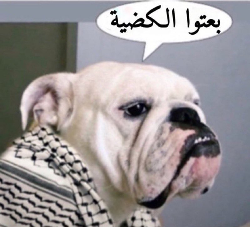 save22022 tweet picture